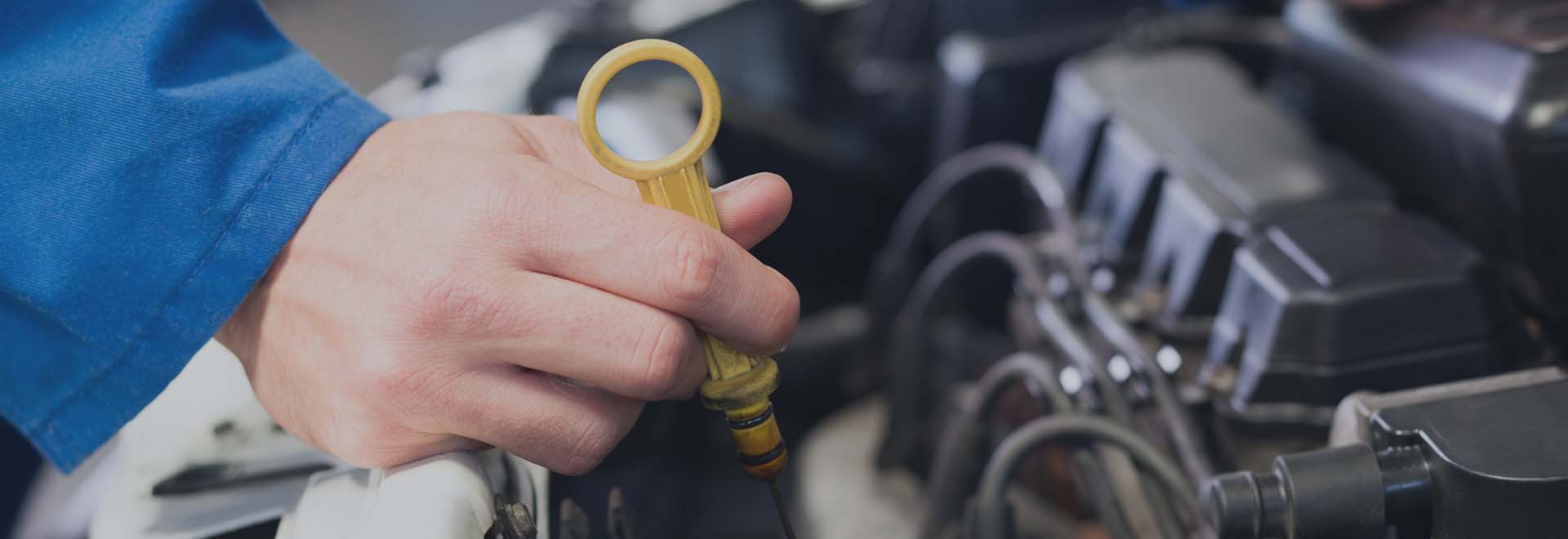 GOLDEN DREAM Auto Services LLC 